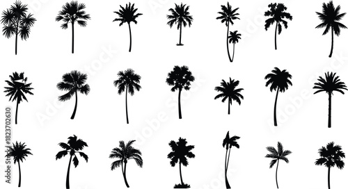 Collection of black palm tree silhouettes on a white background tropical nature