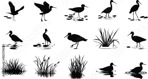 Collection of black silhouettes of wading birds and aquatic plants in water heron