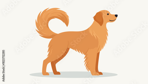 Illustration of a golden retriever standing in profile with a curled tail.