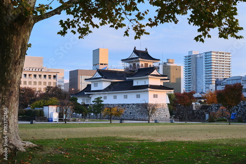 Toyama Castle with Park and City Skyline – Historic Landmark in Toyama, Japan