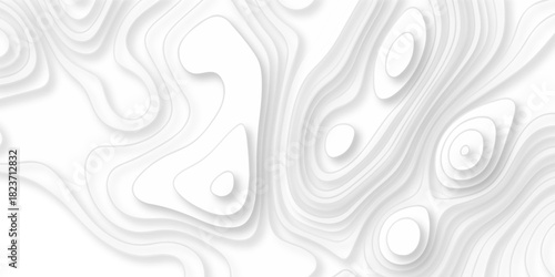 Abstract white paper cut background with lines. Background of the topographic map. White wave paper curved reliefs abstract background. Realistic papercut decoration textured with wavy layers.	
