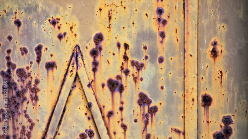 Rusty Old Vintage Gate
