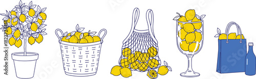 Collection of yellow lemons in various containers and a potted lemon tree potted plant