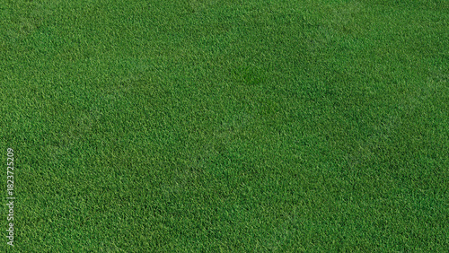 Wallpaper Mural Green grass texture background. A perfectly manicured Sports field / Pitch / Garden Lawn wallpaper.   Torontodigital.ca