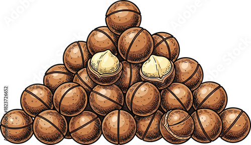 Pile of whole and cracked macadamia nuts with visible kernels heap food