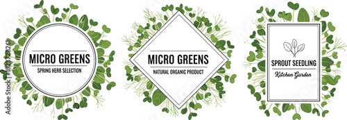 Three decorative frames with microgreens and text labels for organic produce sprouts