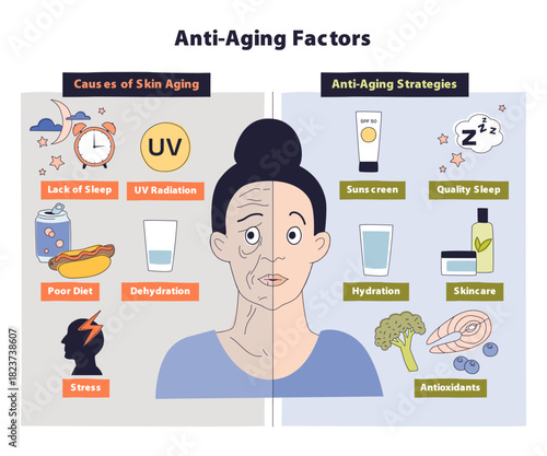 Anti-aging factors visual showing split face contrasting causes and strategies, highlights UV-sunscreen, hydration, and sleep as key elements. Doodle style diagram