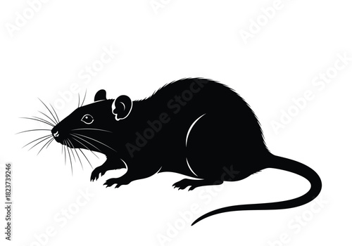 Black silhouette of a rat
