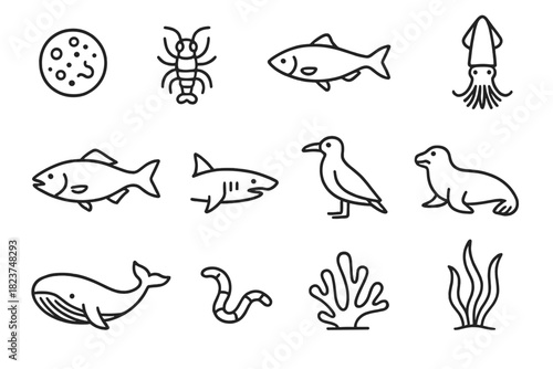 Marine Food Chain Icons. Line style icons of Marine Food Chains: phytoplankton, zooplankton, small fish, squid; larger fish, shark