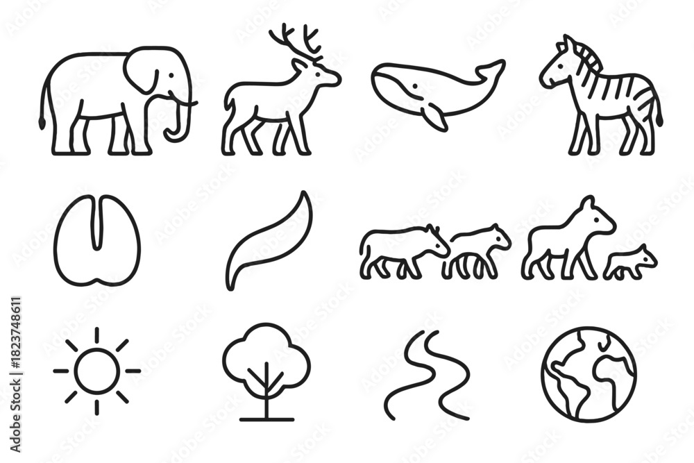 Obraz premium Mammal Migration Icons. Line style icons of Mammal Migration: Elephant, Caribou, Whale, Zebra; Footprint, Tail, Herd, Leader; Sun,