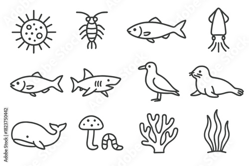 Marine Food Chain Icons. Line style icons of Marine Food Chains: phytoplankton, zooplankton, small fish, squid; larger fish, shark