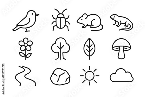 Biodiversity Icons. Line style icons of Biodiversity Benefits: Bird, Insect, Mammal, Reptile; Flower, Tree, Leaf, Mushroom; River,
