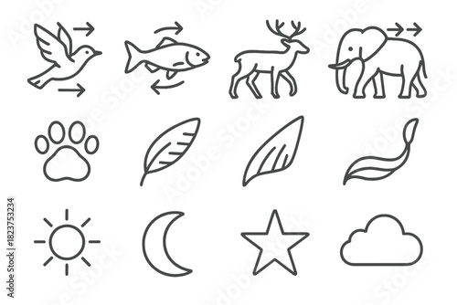 Animal Migration Icons. Line style icons of Animal Migration: Bird, Fish, Deer, Elephant; Footprint, Wing, Fin, Tail; Sun, Moon,