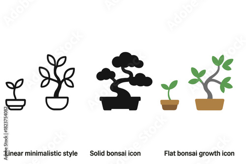 Bonsai Growth Icons. Linear minimalistic bonsai growth icon: seedling, young tree, mature bonsai, leaf clusters, pot variety,
