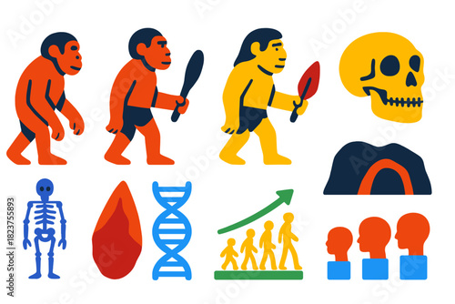 Human Evolution Icons. Flat vector icons of human evolution: Australopithecus, Homo erectus, Neanderthal, modern human, fossil