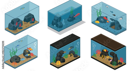 Colorful aquariums with fish and coral in isometric design set