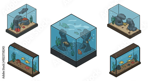 Isometric aquariums with diverse fish and plants in clean modern design