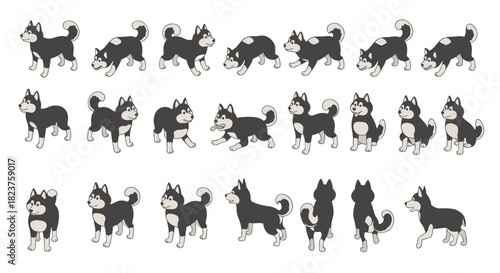 Cute husky dog animation sequence with multiple poses and expressions