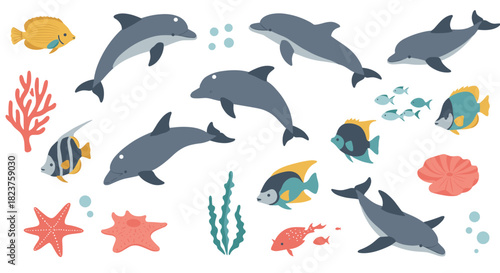 Marine life collection: dolphins, fish, and coral illustrations in flat design