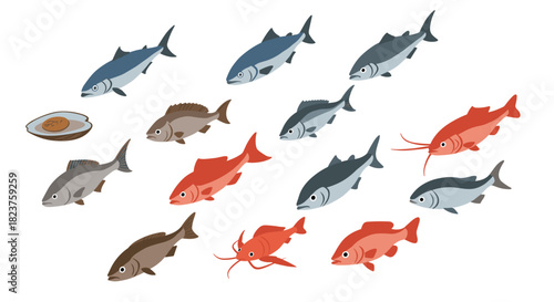 Assorted marine life with fish and shellfish in flat design