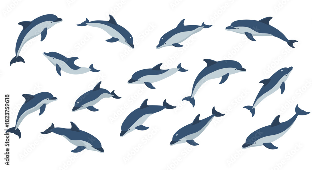 Fototapeta premium Flat design dolphins in various poses on white background