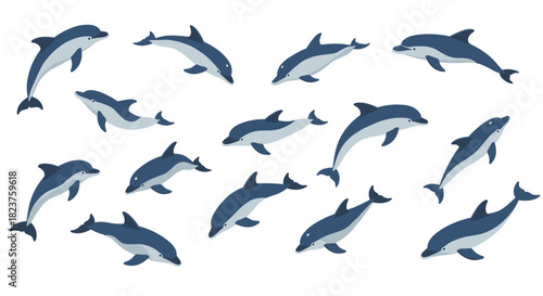 Flat design dolphins in various poses on white background