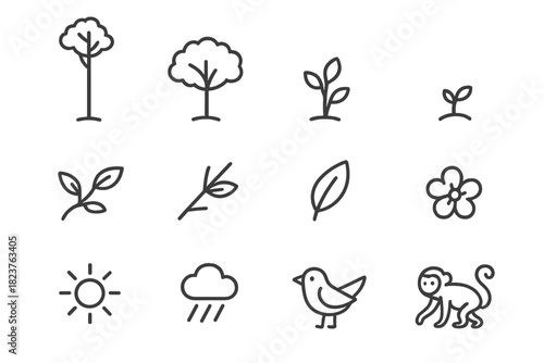 Forest Canopy Icons. Line style icons of Canopy Layers: Emergent Tree, Canopy, Understory, Forest Floor; Vine, Branch, Leaf,