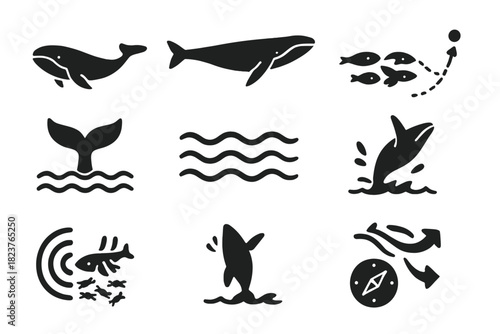Whale Migration Icons. Solid style icons of whale migration: humpback whale, blue whale, pod of whales, whale tail, ocean waves,