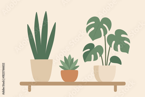 Minimalist Indoor Plants. Minimalist composition vector illustration of indoor plants placed on a modern wooden shelf against a