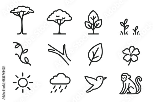 Forest Canopy Icons. Line style icons of Canopy Layers: Emergent Tree, Canopy, Understory, Forest Floor; Vine, Branch, Leaf,