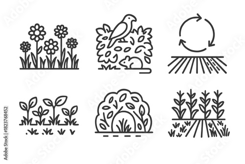 Habitat Management Icons. Line style icons of Habitat Management: flowering strip, hedgerow with predators, crop rotation field,