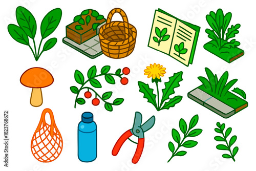 Urban Foraging Essentials. Isometric vector illustration set Urban Foraging: edible leafy plant, city garden corner, handwoven