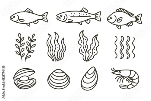 Aquaculture Icons Collection. Line style icons of Aquaculture: Fish, Salmon, Trout, Tilapia; Algae, Seaweed, Kelp, Spirulina;