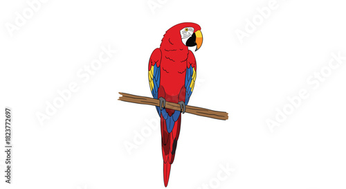 A vibrant scarlet macaw perches on a wooden branch, displaying its colorful plumage and distinctive beak in a detailed illustration.