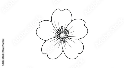 Delicate floral illustration of a five-petal blossom with detailed center and gently undulating petal edges, presented in black and white line art.