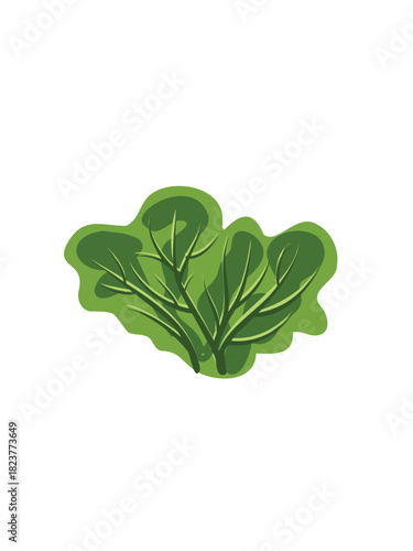 healthy fresh salad greens isolated background