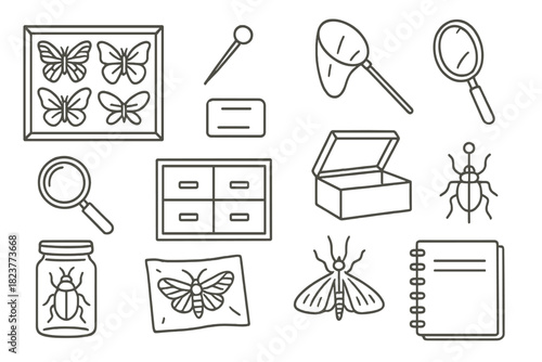 Vintage Entomology Icons. Line style icons of vintage entomology: butterfly display case, pin, label, net; magnifying glass,