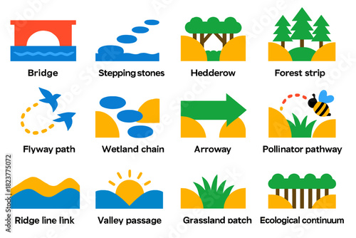Colorful Eco Path Icons. Flat vector icons of landscape connectivity: bridge crossing, stepping stones, hedgerow link, forest
