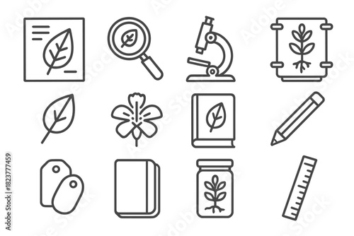 Botanical Study Icons. Line style icons of Botanical Study: Herbarium Sheet, Magnifying Glass, Microscope, Plant Press; Leaf