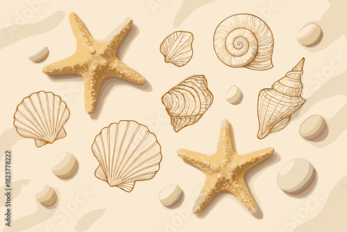 Coastal Summer Serenity. Elegant flat lay of starfish, vector illustration seashells, and pebbles on a soft white sandy surface,