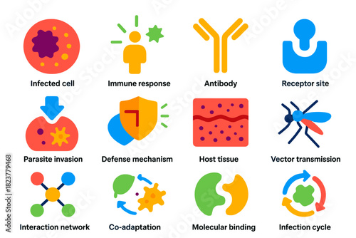 Host-Parasite Interaction Icons. Flat vector icons of host-parasite interactions: infected cell, immune response, antibody,