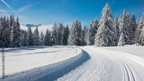 piste de ski de fond dans les alpes sous le soleil en hiver, sports d'hiver, saison, couche de neige, sport à Chamrousse en France, paysage alpin