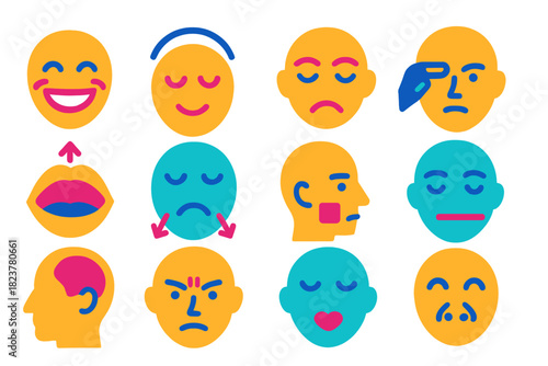 Facial Muscle Icons. Flat vector icons of facial muscle movements: zygomaticus, orbicularis oculi, frontalis, corrugator, levator