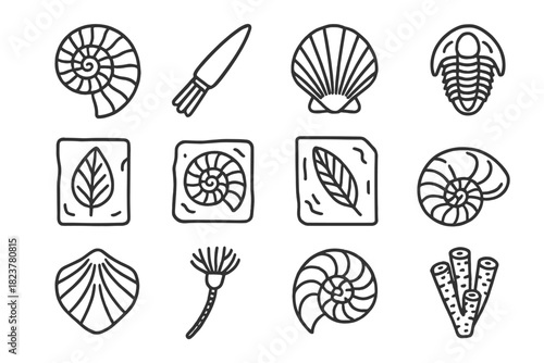 Fossil Icons Collection. Line style icons of fossil mollusks: ammonite, belemnite, fossil shell, trilobite; etched slab, petrified