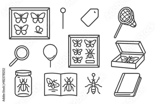 Vintage Entomology Icons. Line style icons of vintage entomology: butterfly display case, pin, label, net; magnifying glass,