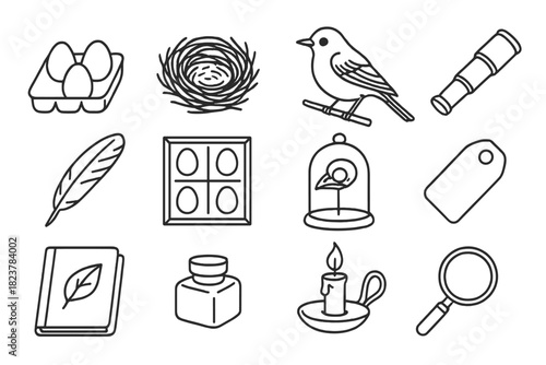 Vintage Ornithology Icons. Line style icons of vintage ornithology: egg collection, nest, bird illustration, spyglass; feather