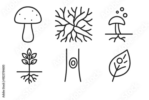 Fungal Tree Disease Icons. Line style icons of Fungal Tree Diseases: mushroom fruiting body, mycelium network, spore release,