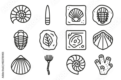 Fossil Icons Collection. Line style icons of fossil mollusks: ammonite, belemnite, fossil shell, trilobite; etched slab, petrified
