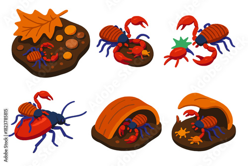 Pseudoscorpion Ecosystem Icons. Isometric vector illustration set Pseudoscorpions: leaf litter ecosystem, pseudoscorpion hunting,