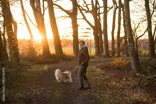 Wallpaper Mural Waldspaziergang mit Mops und Mischlingshund bei untergehender Sonne im Herbst Torontodigital.ca